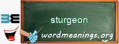 WordMeaning blackboard for sturgeon